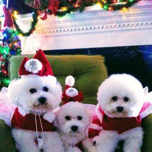 Meet your Posher, Janet